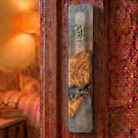 מזוזה שקופה  בגודל 15 ס"מ