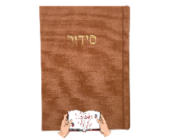 סידור בד צבע חום אדמה