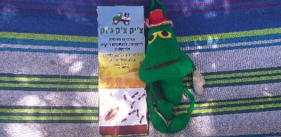 חומר הדברה לעכבישים בחצר