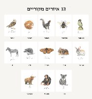 לוח שנה מאוייר 25-26