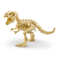 רובו אלייב - מציאת מאובני דינוזאור גודל 24 ס''מ