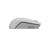 Lenovo 300 Wireless Compact Mouse - GY51L15678