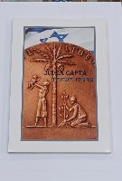 מדלית השחרור - ספר, שנת 2011, מחבר: אליעזר מורב, כריכה דקה