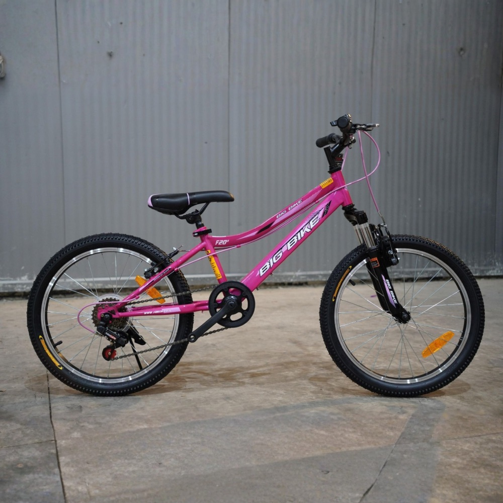 אופני BIG BIKE ורודים 20 אינץ