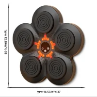 מכונת-איגרוף-4