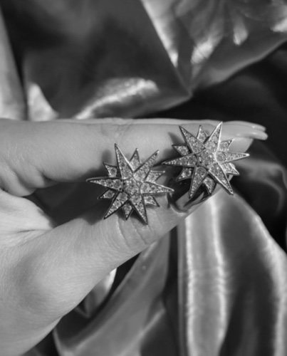 Nickola Earrings Silver