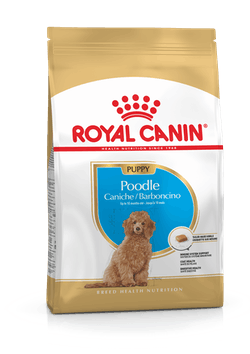 רויאל קנין פודל פאפי גוניור 3 קג - ROYAL CANIN PUPPY POODLE 3KG