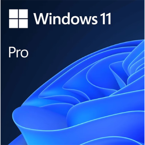 Win Pro 11 64Bit Eng DVD