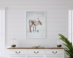 תמונת קנבס הדפס של אייל צעיר "Baby Caribo" |בודדת או לשילוב בקיר גלריה | תמונות לבית ולמשרד