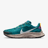 Nike Pegasus Trail  3