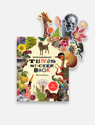 ספר מדבקות Things sticker book