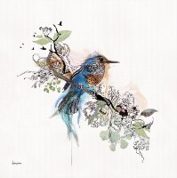ציור ממוסגר של ציפור כחולה