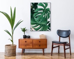 תמונת קנבס של צמחים "מונסטרה דליסיוסה" |בודדת או לשילוב בקיר גלריה | תמונות לבית ולמשרד