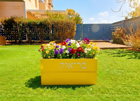 אדנית בריאות