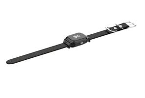 הקולר המתקדם PetWatch 2.0 מבית Kidiwatch - עם איתור GPS מדויק, היסטוריית מיקומים וקולר נגד פרעושים מתנה - אחריות קידי