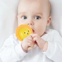 רטטוי אריה – רעשן מעץ, נשכן, ובובת אצבע