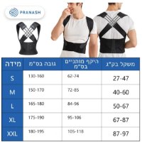 חגורת-גב-מידות