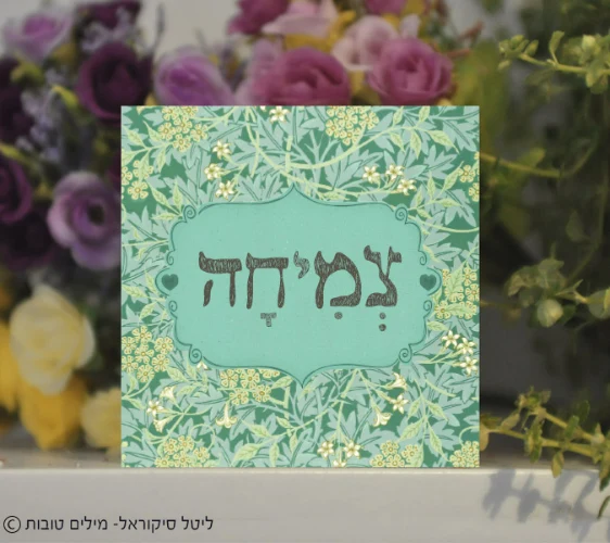 צמיחה