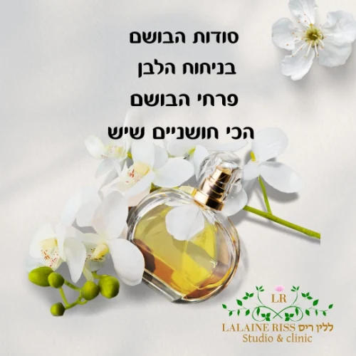 סודות הניחוח הלבן – פרחי הבושם הכי חושניים שיש
