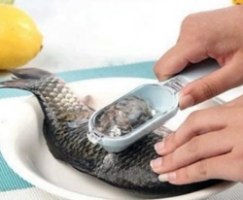 סכין לניקוי קשקשים מדגים