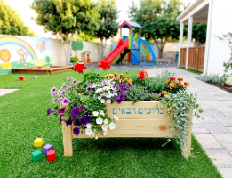 אדנית ג'מבו גדולה