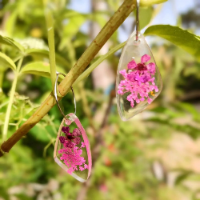 עגילי אפוקסי גיאומטריים שקופים עם פרחים מיניאטוריים ורודים בעבודת יד