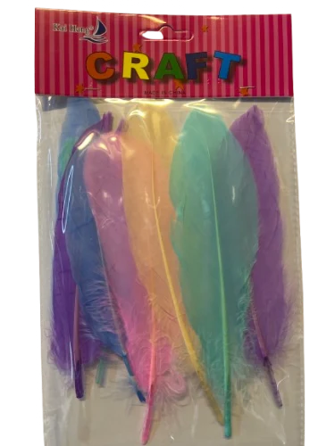 ארט נוצות פסטל