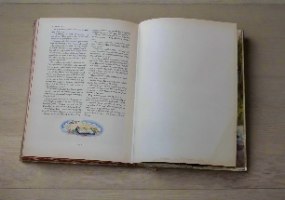 סיפורי התנ"ך באנגלית, איורים מרהיבים של נואל דופורט, וינטאג' 1954