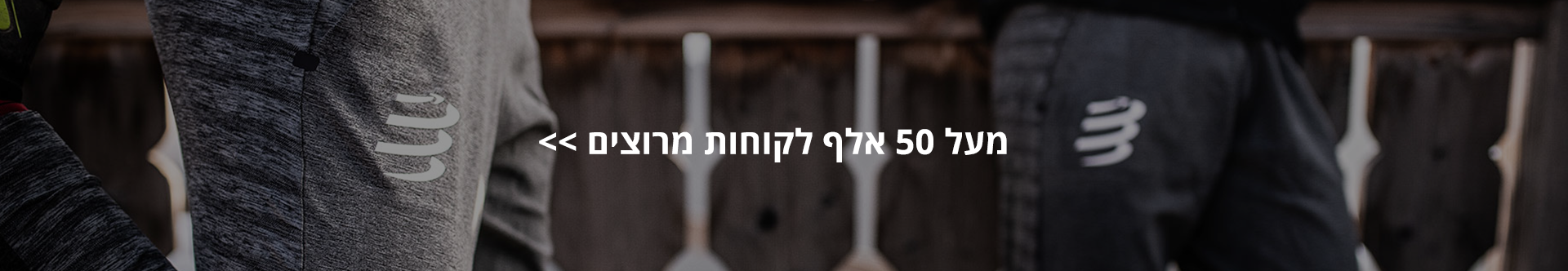 המלצות