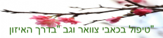 בדרך האיזון