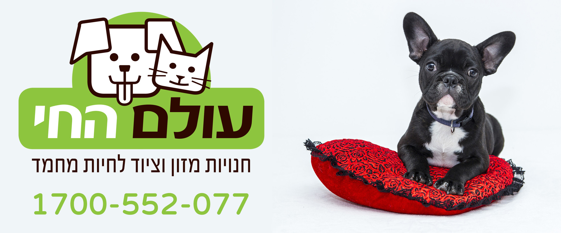 עולם החי