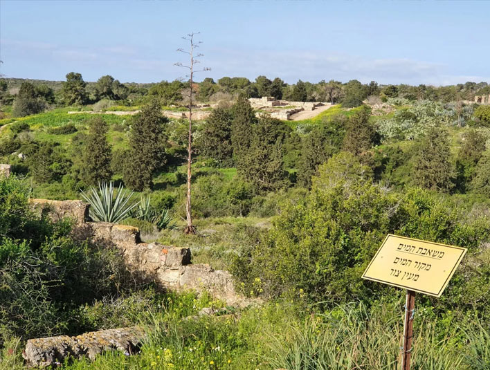 תל צור