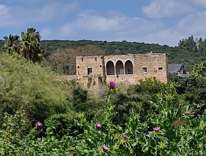 שוני 