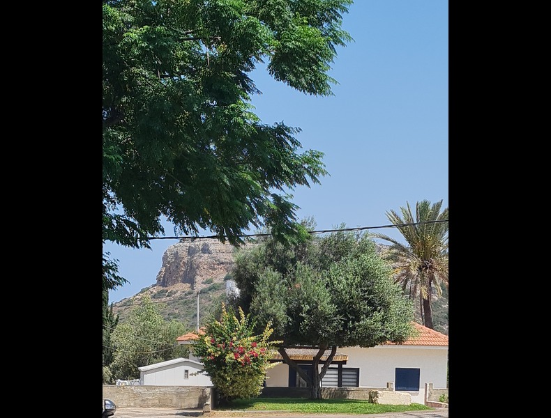 קצה רחוב נורית