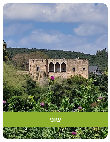 שוני