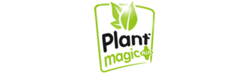 plant magic