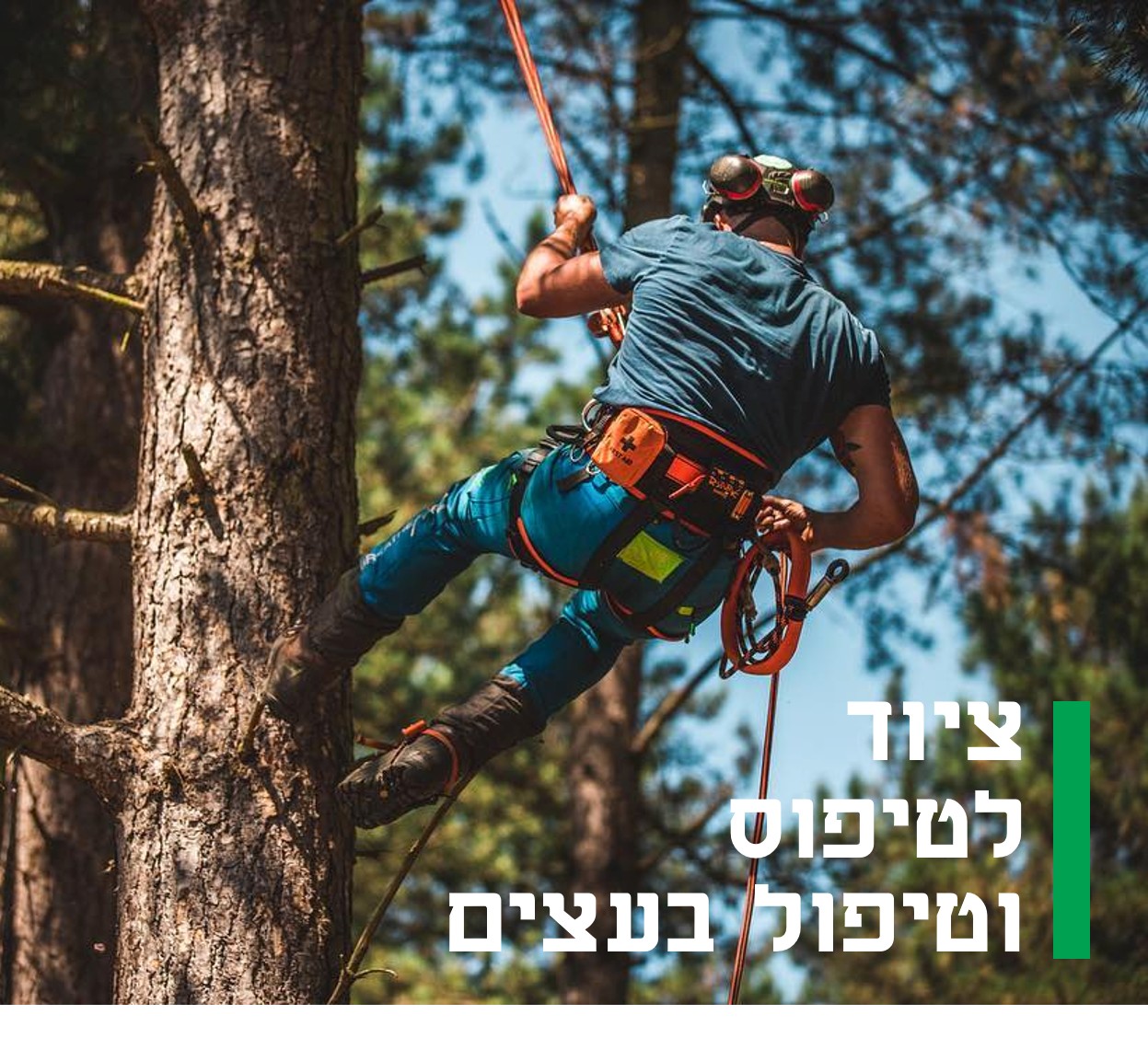 ציוד למטפסי עצים