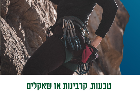 טבעות או קרבינות 