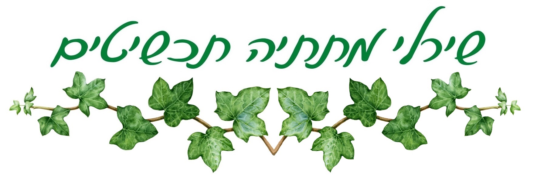עיצובי העץ של שירלי עיצובי העץ של שירלי