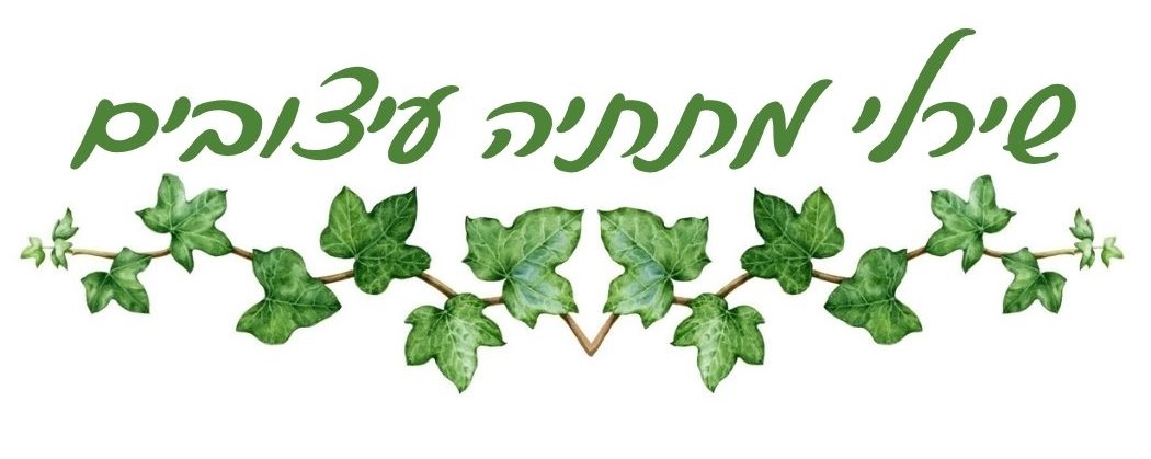 שירלי מתתיה עיצובים
