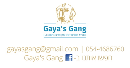 החבורה של גאיה