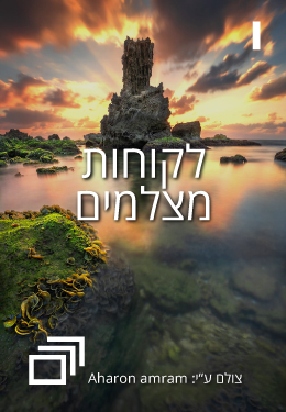 לקוחות מצלמים