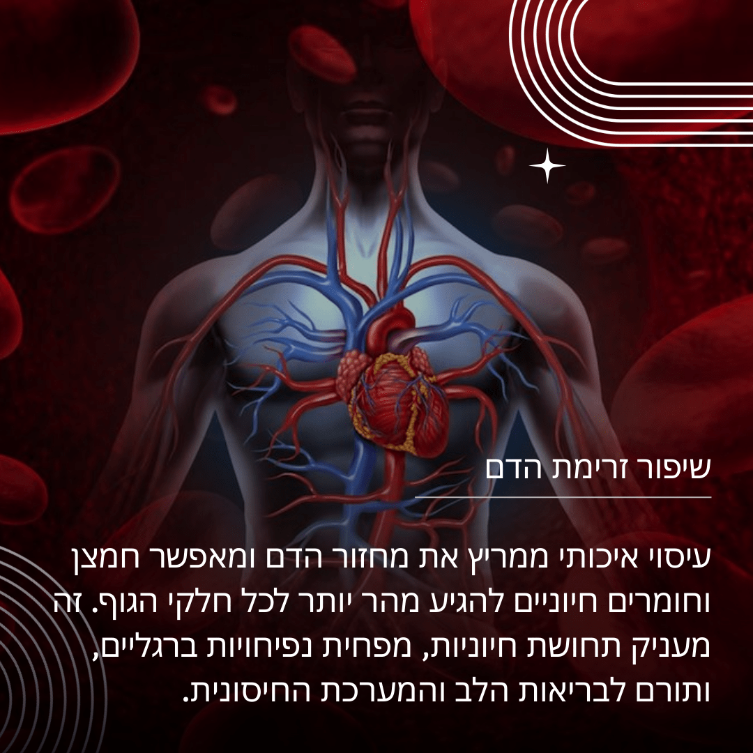 התמונה כולה