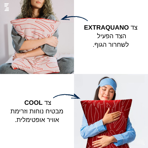 תיאור שני צידי הכרית של צפטר