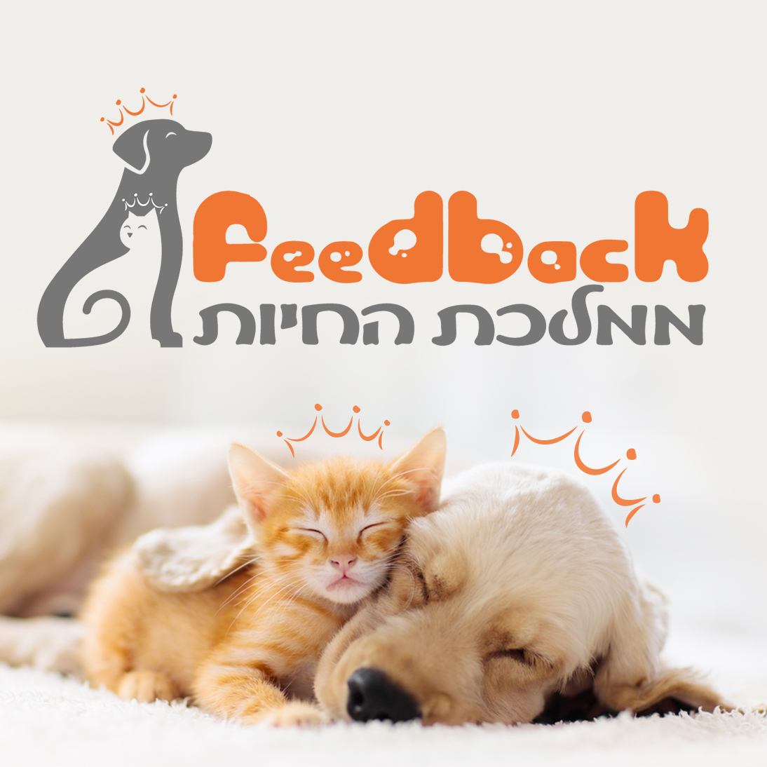 Feedbackshop