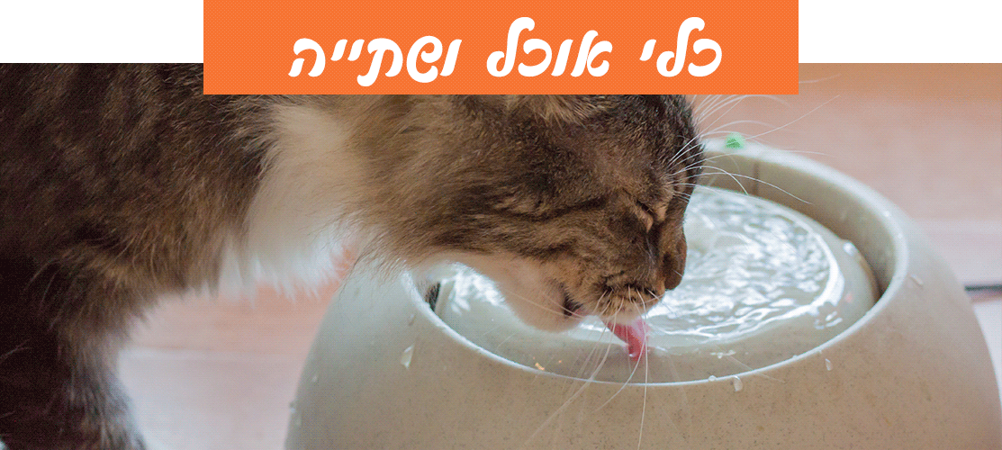 כלי אוכל ושתייה לחתולים