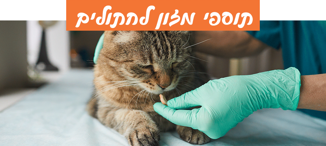 תוספי מזון לחתולים