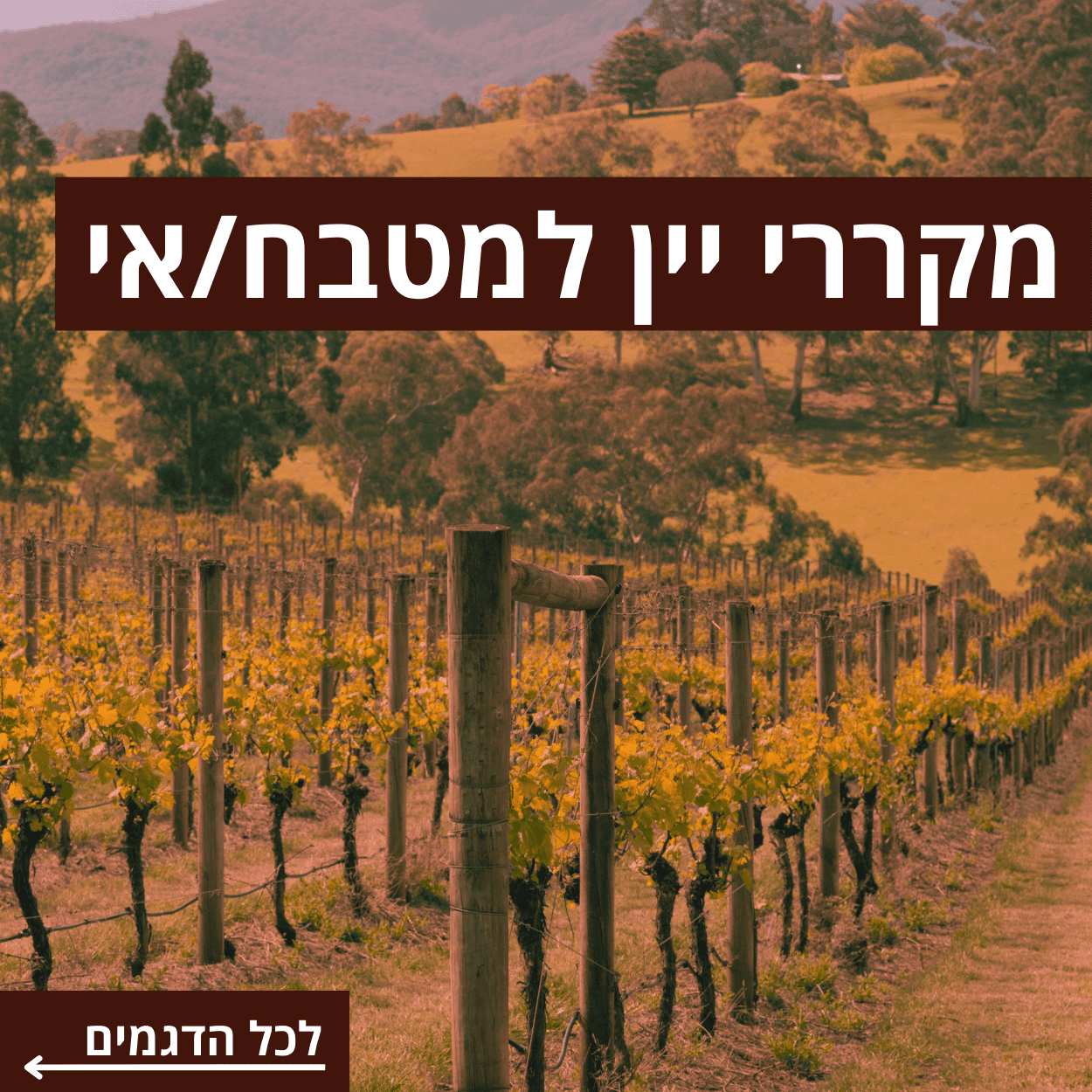 מקררי יין למטבח/אי