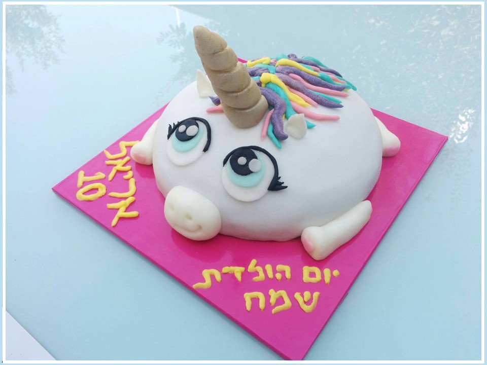 עוגה מעוצבת 14