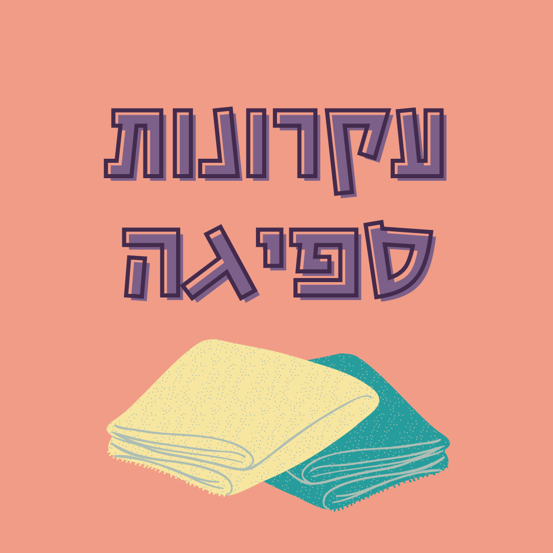 עקרונות ספיגה